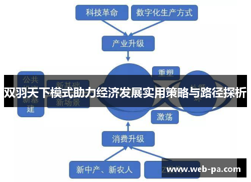 双羽天下模式助力经济发展实用策略与路径探析 双羽天下模式助力经济发展实用策略与路径探析