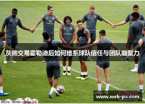 灰熊交易霍勒迪后如何维系球队信任与团队凝聚力 灰熊交易霍勒迪后如何维系球队信任与团队凝聚力