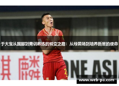 于大宝从国脚到青训教练的蜕变之路:从绿茵场到培养新星的使命 于大宝从国脚到青训教练的蜕变之路:从绿茵场到培养新星的使命