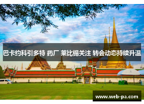 巴卡约科引多特 药厂 莱比锡关注 转会动态持续升温 巴卡约科引多特 药厂 莱比锡关注 转会动态持续升温