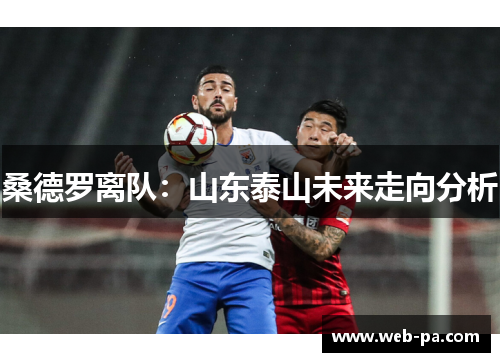 桑德罗离队:山东泰山未来走向分析 桑德罗离队:山东泰山未来走向分析