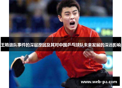 王皓退队事件的深层原因及其对中国乒乓球队未来发展的深远影响 王皓退队事件的深层原因及其对中国乒乓球队未来发展的深远影响