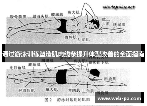 通过游泳训练塑造肌肉线条提升体型改善的全面指南 通过游泳训练塑造肌肉线条提升体型改善的全面指南