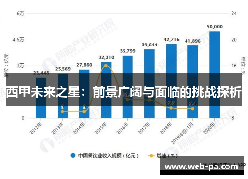 西甲未来之星：前景广阔与面临的挑战探析
