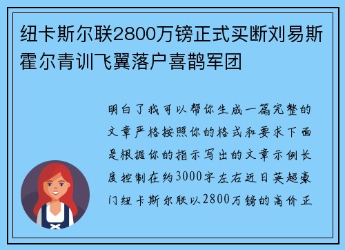 纽卡斯尔联2800万镑正式买断刘易斯霍尔青训飞翼落户喜鹊军团